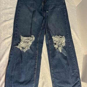 NWT Wild fable Distressed Blue Jeans for Women SIZE 2